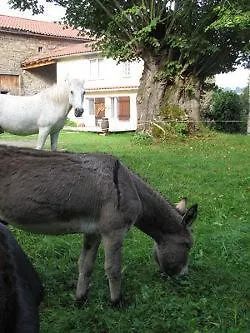 Holiday home Gite De Charme Auvergne Cab'Ane Brousse France