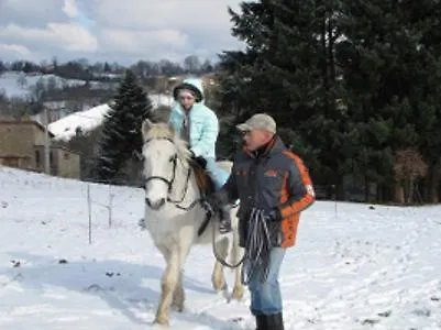 Gite De Charme Auvergne Cab'Ane Brousse Holiday home