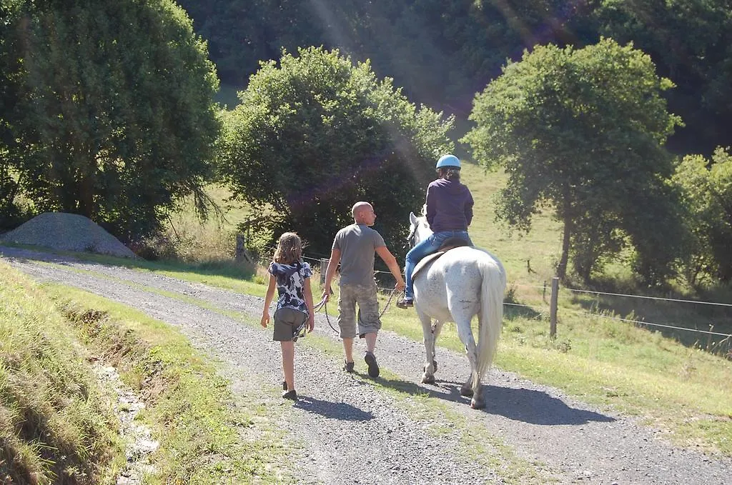Holiday home Gite De Charme Auvergne Cab'Ane Brousse