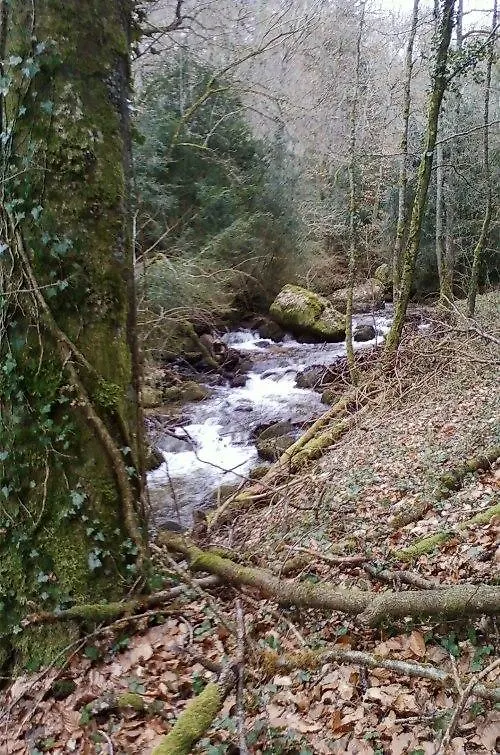 Holiday home Gite De Charme Auvergne Cab'Ane Brousse